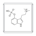 Магнит 6.5 x 6.5 см Асимметричный ответ ФСКН