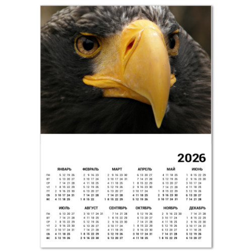 Календарь с принтом Ястреб