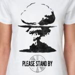 Fallout
