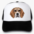 Кепки Trucker