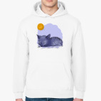 Толстовка худи