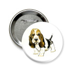  Бассет-хаунд