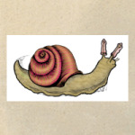 SafeSexSnail