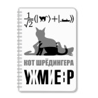 Котэ Шрёдингера