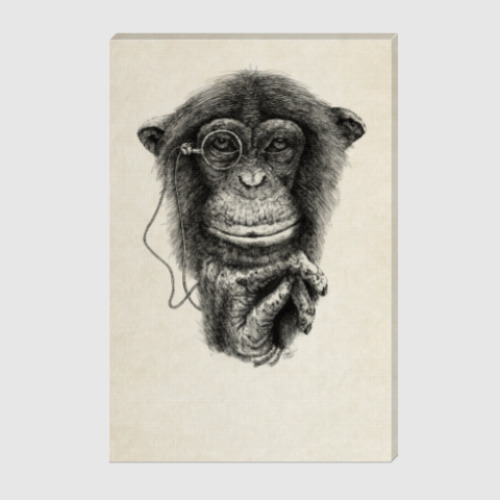 Холст с принтом Monkey