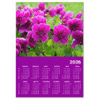 Камчатка, цветы