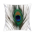 Перо павлина