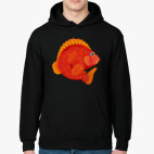 Толстовка худи