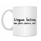 Lingua latina