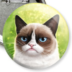 Grumpy Cat
