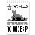 Котэ Шрёдингера