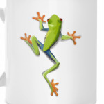 Забавная лягушка!