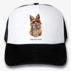 Кепки Trucker