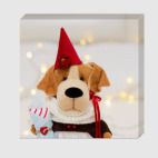 Собачка с подарочной косточкой