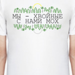 Мы - хвойные