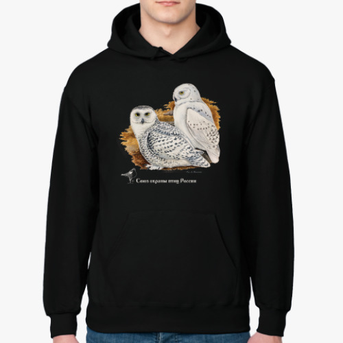Толстовка худи с принтом Белые совы