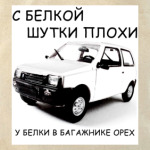 Холщовая сумка Белка