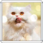  'Добродушный Перс'