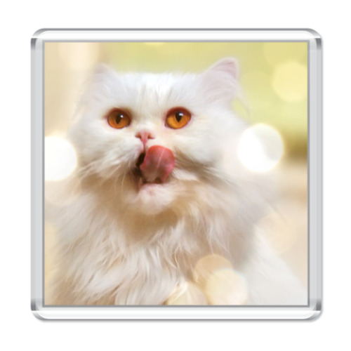 Магнит с принтом  'Добродушный Перс'