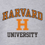 Толстовка Гарвард Harvard