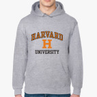 Толстовка Гарвард Harvard