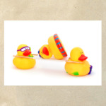 Утки фельдшера