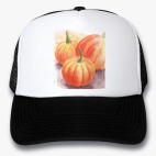 Кепки Trucker