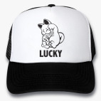 Кепки Trucker