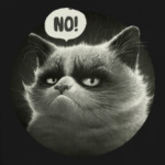 Кот Tard Grumpy Cat портрет