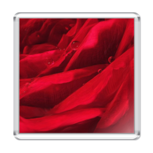 Магнит с принтом цвет розы