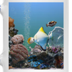 Морской аквариум