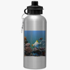 Спортивная бутылка