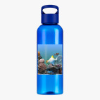 Прозрачная спортивная бутылка