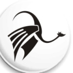 Юный королевский дракон