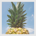 Ананасы