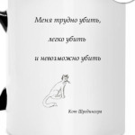 Кот шредингера