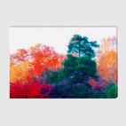 Холст 40 х 60 см Осень в Ботаническом саду