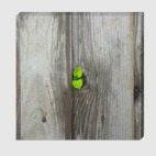 Сквозь преграды