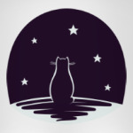 Кот и звезды