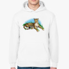 Толстовка худи