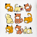 коты