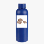 Термобутылка