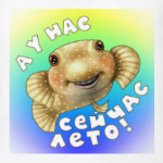 Рыбка-шар Бусик