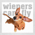 Wieners Can Fly