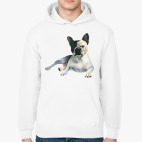 Французский бульдог