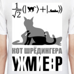 Котэ Шрёдингера