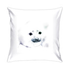 Малыш тюлень