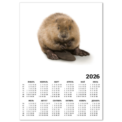 Календарь с принтом бобёр