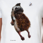 Ежики тоже хотят летать