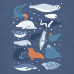 Ластоногие